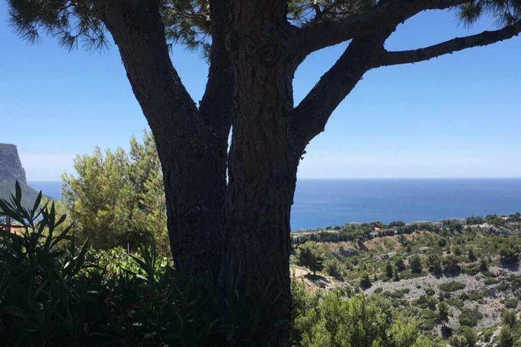Magnifique Studio Κασί Εξωτερικό φωτογραφία